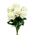 Floristik24 Ramo de rosas blancas, crema 55cm