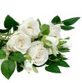Floristik24 Ramo de rosas blanco L46cm