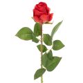 Floristik24 Rama de rosa artificial de seda, color rojo, 72 cm, 3 unidades.
