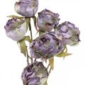 Floristik24 Rama de rosa Flor de seda Decoración de mesa Arte Rosa Púrpura Antiguo L53cm