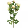 Floristik24 Rama de rosa, rosas de seda, rama artificial rosa, crema L66cm Ø3/5cm