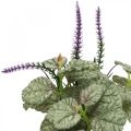 Floristik24 Flores de seda artificial, salvia en ramo, flor de seda de salvia violeta L28cm 4pcs