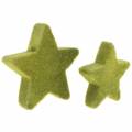 Floristik24 Scatter decoración estrellas flocadas verde musgo 4cm/5cm 40p