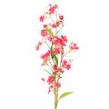 Floristik24 Rama artificial de orquídea Oncidium en flor, decoración de 112 cm, 3 unidades.