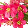 Rama artificial de orquídea Oncidium en flor, decoración de 112 cm, 3 unidades. | Floristik24.es