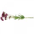 Floristik24 Scabious flor artificial rosa flor de verano H64cm ramo de 3 piezas