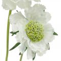 Floristik24 Scabious flor artificial blanca flor de jardín H64cm manojo con 3 piezas