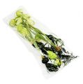 Floristik24 Ajedrez-flor verde con raíces L30cm