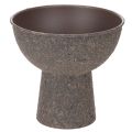 Floristik24 Maceta redonda con base, 18 cm