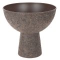 Floristik24 Maceta redonda con soporte, maceta moderna, 25 cm