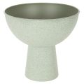 Floristik24 Bol con soporte para plantas, bol decorativo, 25 cm