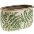 Floristik24 Cuenco para plantas helecho gres maceta de cerámica ovalada 20×10×13,5cm 2uds