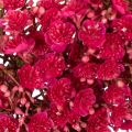 Corona de flores artificiales, decoración de paniculata, 30 cm | Floristik24.es