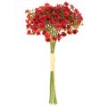 Paniculata artificial, roja, ramo como decoración floral, 30 cm, 10 unidades | Floristik24.es