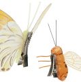 Floristik24 Mariposa, abeja deco en clip 4cm - 8cm 9pcs