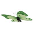 Floristik24 Mariposa verde en clip 10cm - 11cm 6pcs
