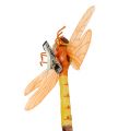 Floristik24 Mariposa y libélula con clip surtido 6 piezas
