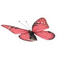 Floristik24 Mariposa rosa en clip 11cm 6pcs