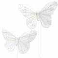 Floristik24 Mariposa de plumas sobre alambre blanco con purpurina 10cm 12pcs
