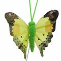 Floristik24 Mariposa decorativa con alambre ordenada 5cm 24uds