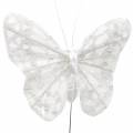 Floristik24 Mariposa de plumas con alambre blanco, purpurina 5cm 24pcs