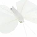 Floristik24 Pluma mariposa en clip blanco 7-8cm 8pcs