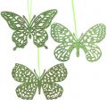 Floristik24 Decoración para colgar Mariposa Verde Brillo8cm 12pcs
