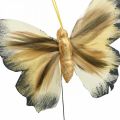 Floristik24 Deco mariposa, decoración de primavera, polilla en alambre marrón, amarillo, blanco 6×9cm 12uds