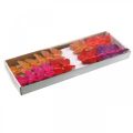 Floristik24 Primavera, mariposas de plumas con mica, mariposa decorativa rojo, naranja, rosa, violeta 4×6,5cm 24uds