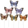Floristik24 Mariposas de plumas, mariposas decorativas en un palo, tapones de flores rosa, naranja, violeta, marrón, azul, beige 6×8cm 12 piezas