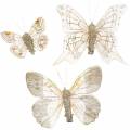 Floristik24 Pluma mariposa en clip champagne glitter 10pcs