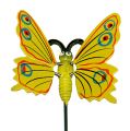 Floristik24 Mariposa en palo 8cm Amarillo