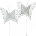 Floristik24 Mariposas con perlas y mica, adornos de boda, mariposas de plumas sobre alambre blanco