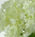 Floristik24 Bola de nieve, flores de seda blancas 47cm