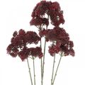 Floristik24 Sedum rojo artificial stonecrop otoño decoración 70cm 3pcs