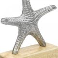 Floristik24 Estrella de mar de metal, decoración marítima, escultura decorativa plata, colores naturales Al. 18 cm