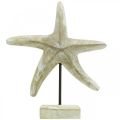 Floristik24 Estrella de mar para colocar, decoración madera marinera color natural, blanco H23.5cm