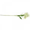 Floristik24 Explosión de seda artificial, decoración floral, flor de seda, flor decorativa blanca L72cm