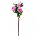 Floristik24 Flor de seda peonía artificial rosa violeta 135cm
