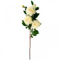 Floristik24 Flor de seda peonía artificial blanco crema 135cm
