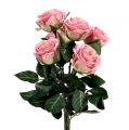 Floristik24 Flores de seda rosa Ø7cm L37cm rosa oscuro 6pcs