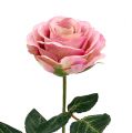 Floristik24 Flores de seda rosa Ø7cm L37cm rosa oscuro 6pcs
