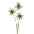 Floristik24 Flores de seda Xanthium verde 63cm 4pcs