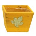 Floristik24 Caja de plantas madera shabby chic caja de madera amarilla 11×14,5×14cm
