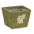 Floristik24 Caja de plantas madera shabby chic caja de madera verde 11×14,5×14cm