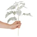 Rama artificial de Senecio, hoja plateada, elaborada con gran detalle, 45 cm, 3 piezas. | Floristik24.es