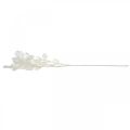 Floristik24 Rama decorativa hoja plata rama Lunaria blanca rama artificial 70cm
