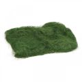 Floristik24 Fibra natural verde musgo de sisal para decorar 300g