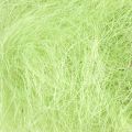 Floristik24 Sisal May decoración verde fibra natural fibra de sisal 300g