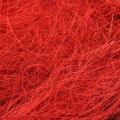 Floristik24 Sisal rojo burdeos fibra natural 300g